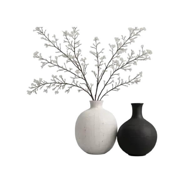 image-bellorivex